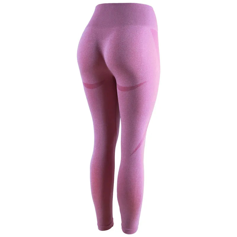 Sculpt Seamless Leggings